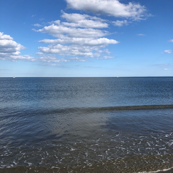 Meet your Posher, Shannon - Picture 1 of 1